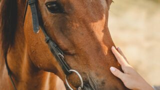 初心者の悩み・不安